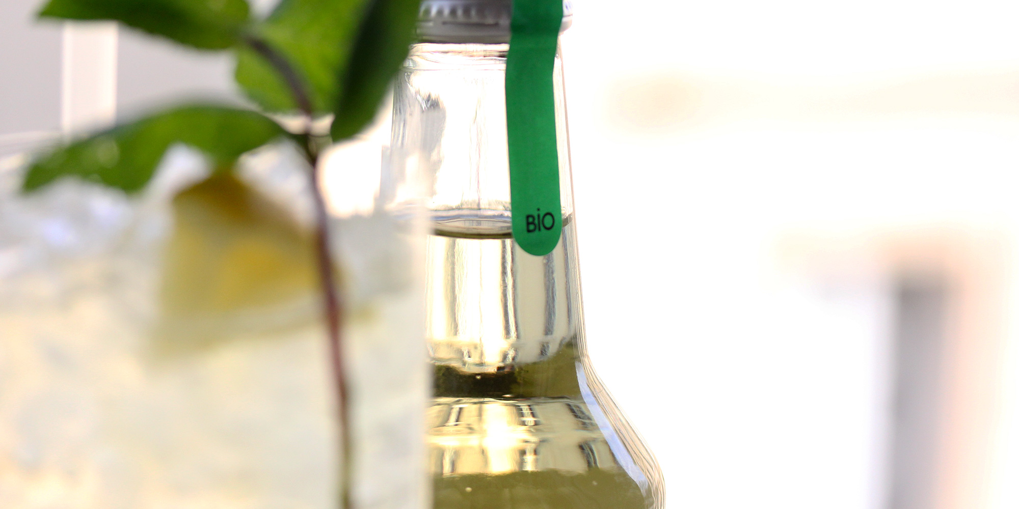 bouteille menthe citron vue dessus